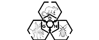 GDN07